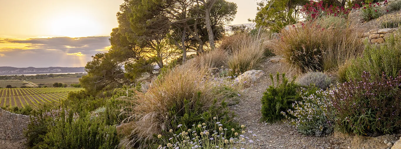 Pré-inscriptions 2026 Victoires du Paysage