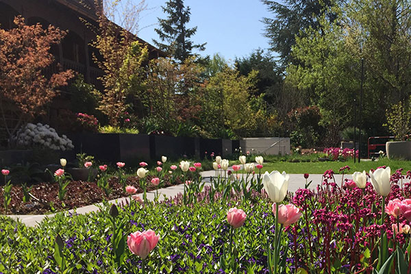 Les jardins de l'hôtel du Parc à Obernai