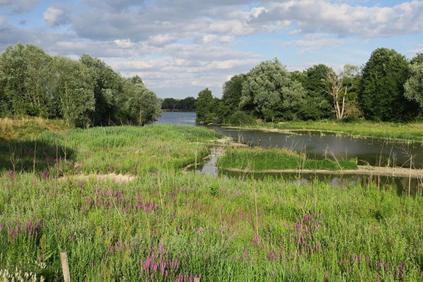 Parc du Peuple de l'Herbe à Carrière-sous-Poissy