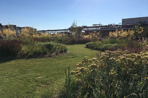 Renaissance écologique d'un site industriel à Vitry-sur-Seine