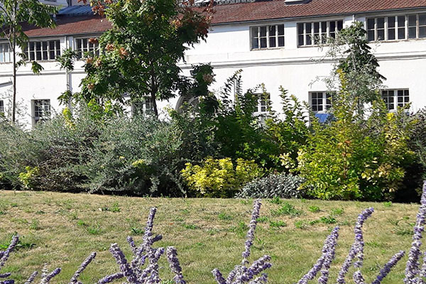 Jardin de l'Hôpital Necker Pôle Mère Enfant