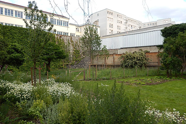 Jardin du 38 rue de la Chapelle