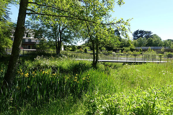 Jardin des Arbres Médicinaux, Abbaye de Daoulas