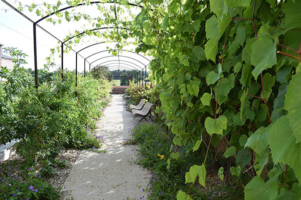 Création de 5 jardins dans un ensemble monastique