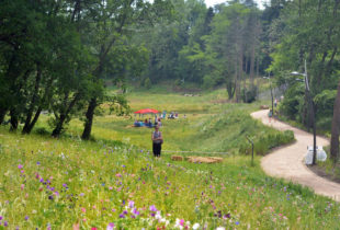 1 Parc-du-vallon-prairie-duchère-lyon-©IlexPaysageUrbanisme