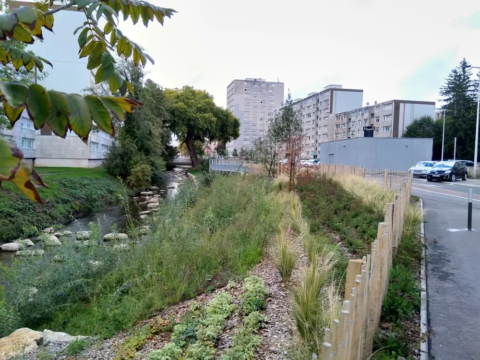 Requalification du Boulevard Édouard Herriot