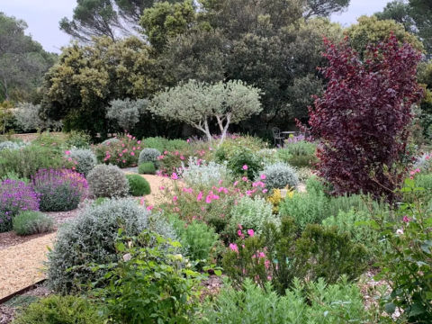 Jardin Méditerranéen de Cabrières d'Avignon