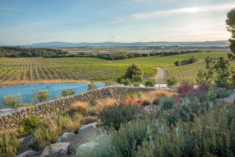 Les Jardins du Château Capitoul