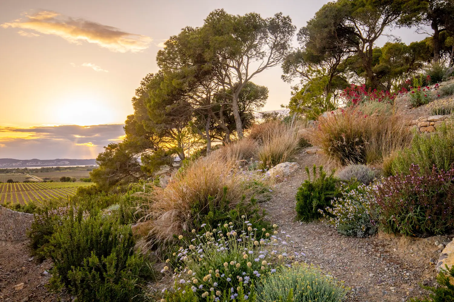 Concours VAL’HOR : jardins et aménagements paysagers des collectivités