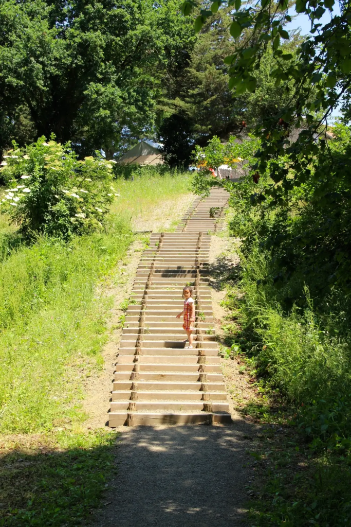 1- La Vallée des Elfes de Margerie-Dompierre Sur Yon