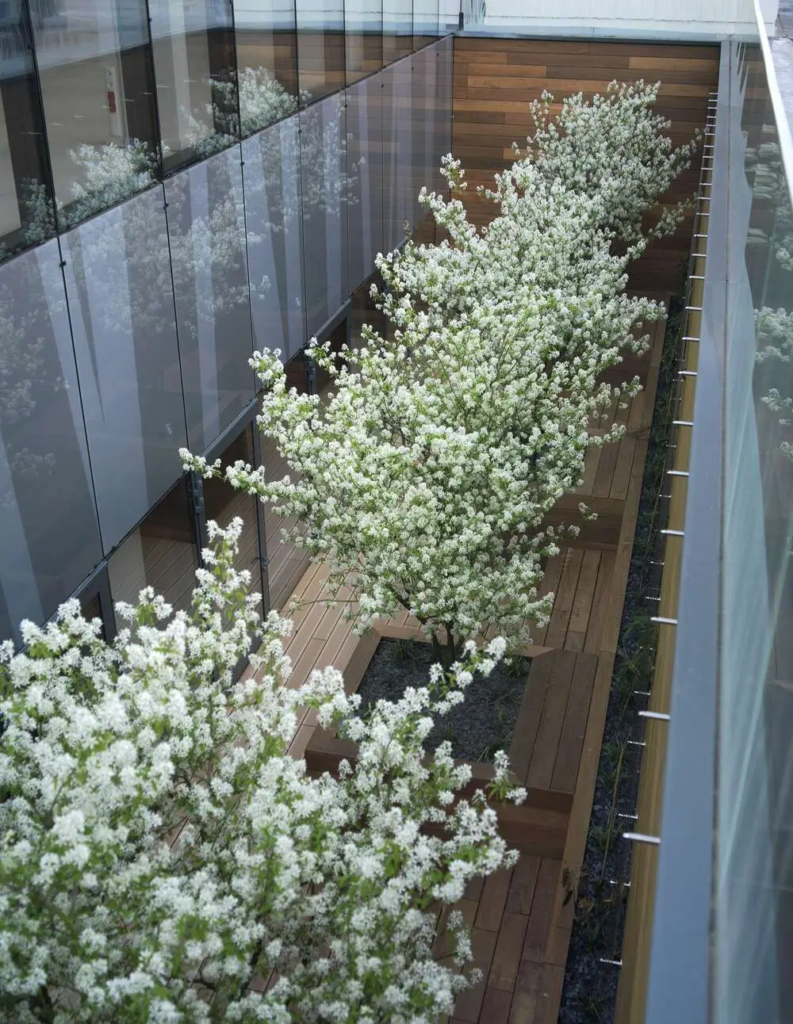 3- AXIM CONTRUCTION  CRISTAL MONCEAU