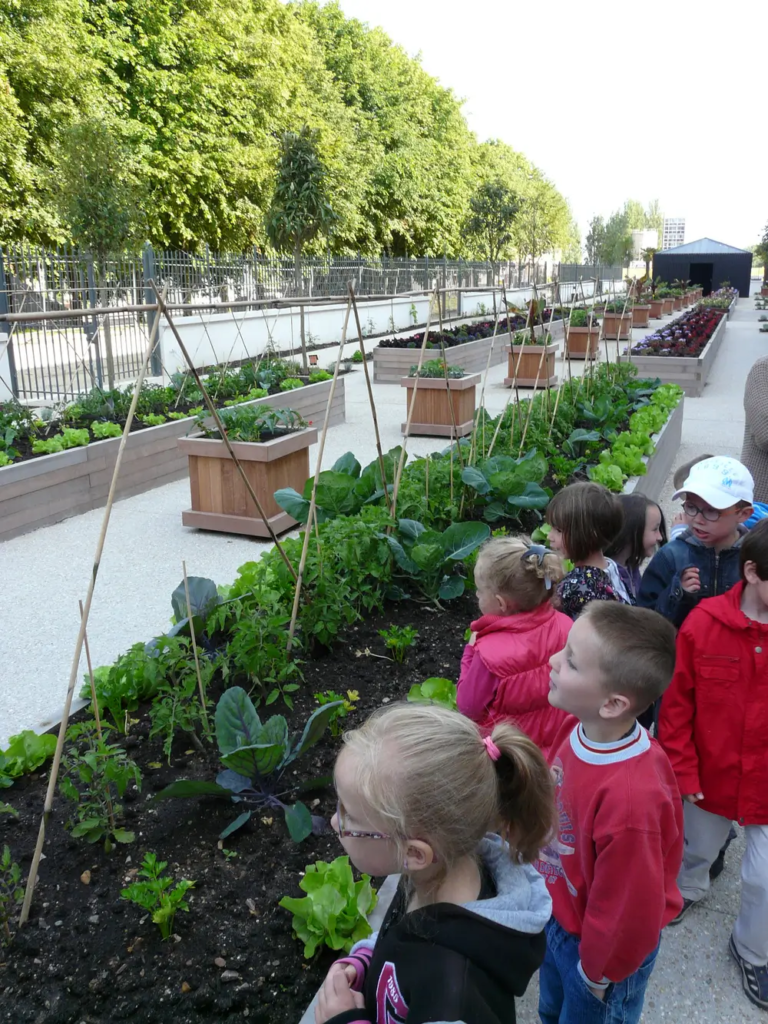 4- FÉCAMP- Craquelin