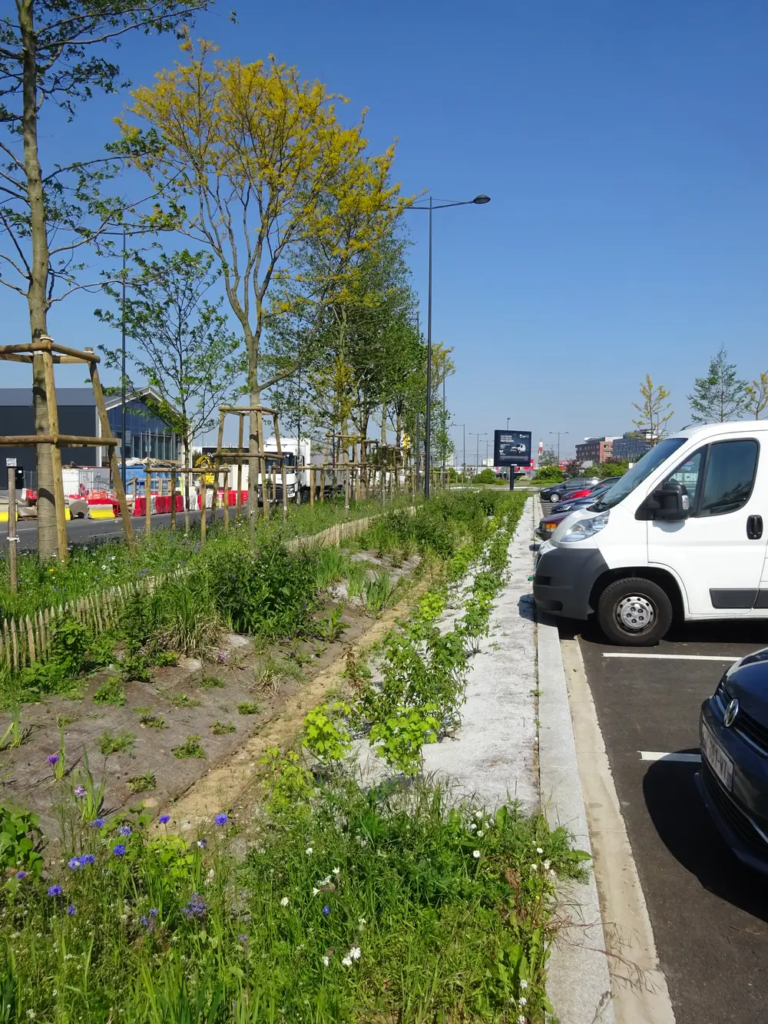 4- RUNGIS  Requalification du Marché International de Rungis, aménagement des abords des G5