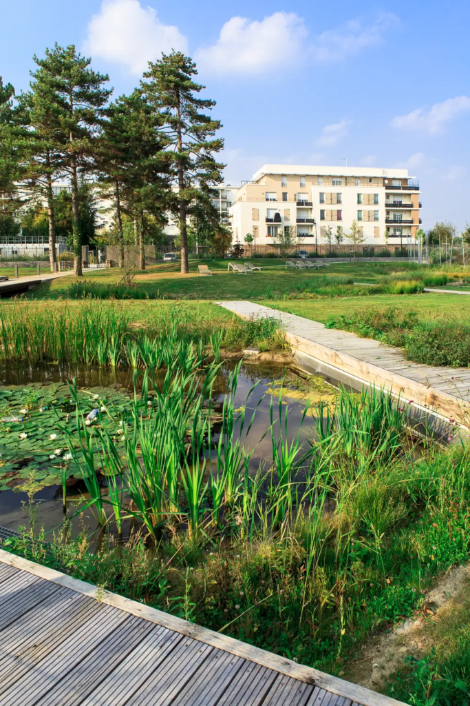 4- VilleneuveLeRoi_Borddel&rsquo;eau