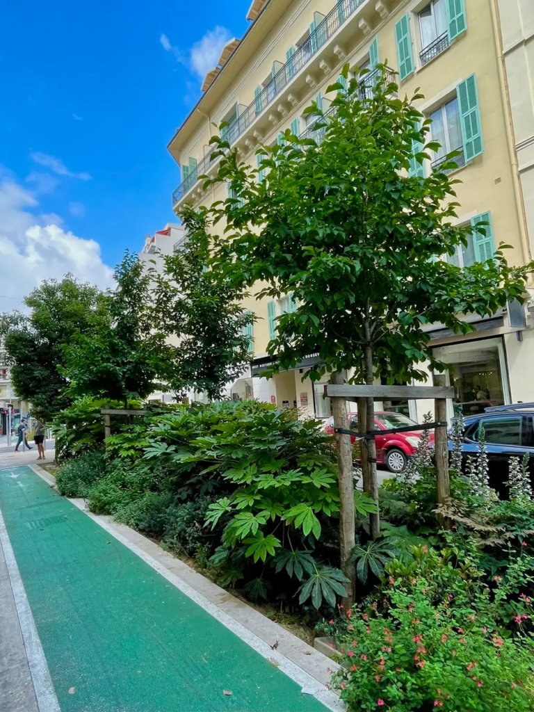 5- Métropole Nice Côte d’Azur et Ville de Nice  Voies trames vertes axe 1
