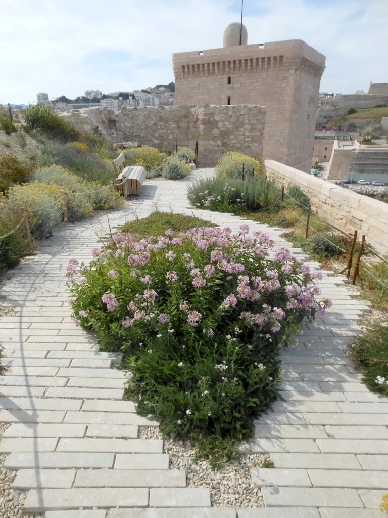 5- OPPIC  FORT ST JEAN  JARDIN DES MIGRATIONS