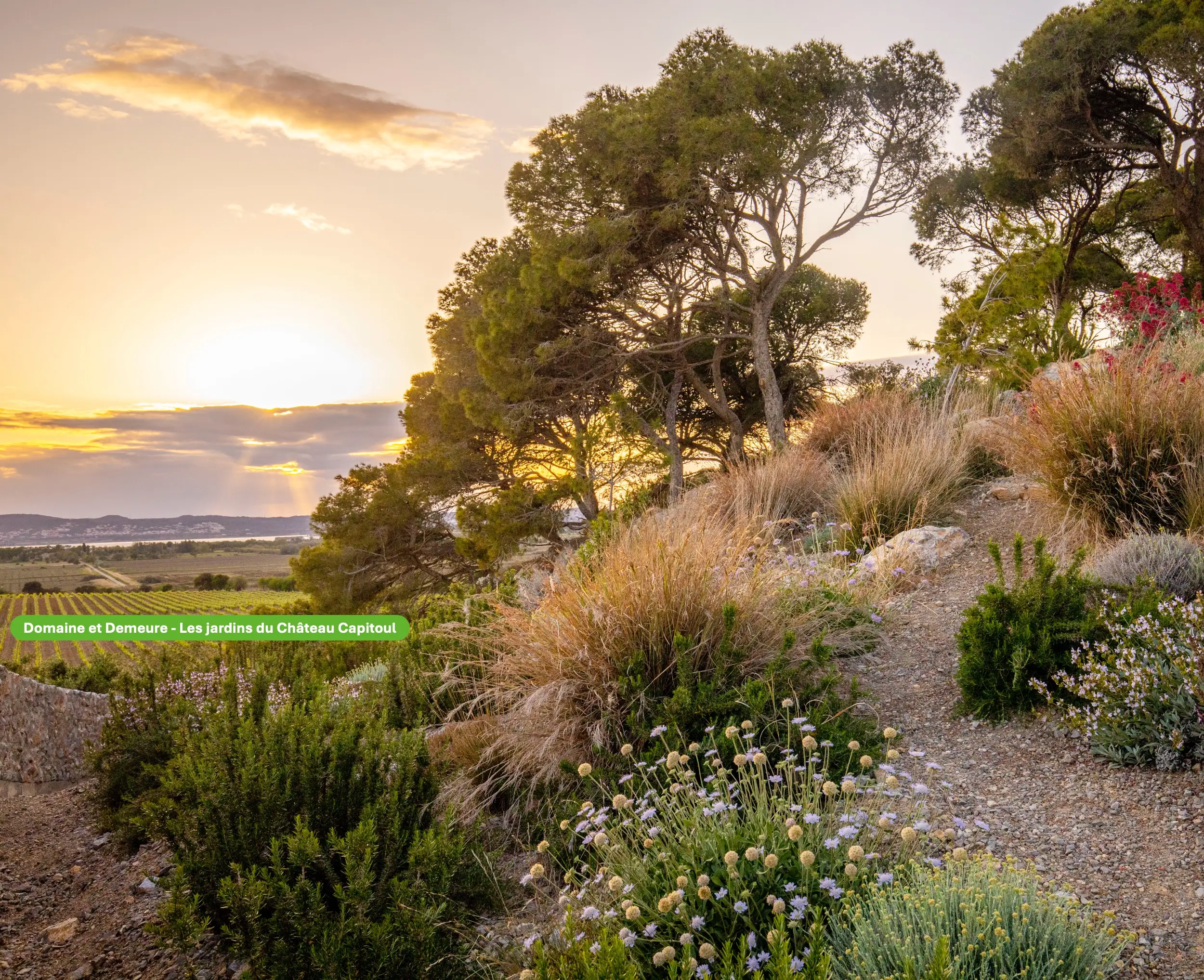 Domaine et Demeure  Les jardins du Château Capitoul