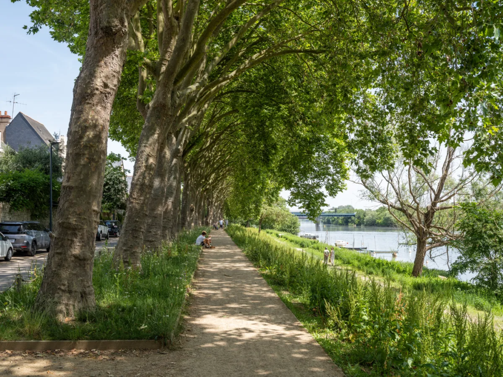 Berges-de-la-Reculee-06