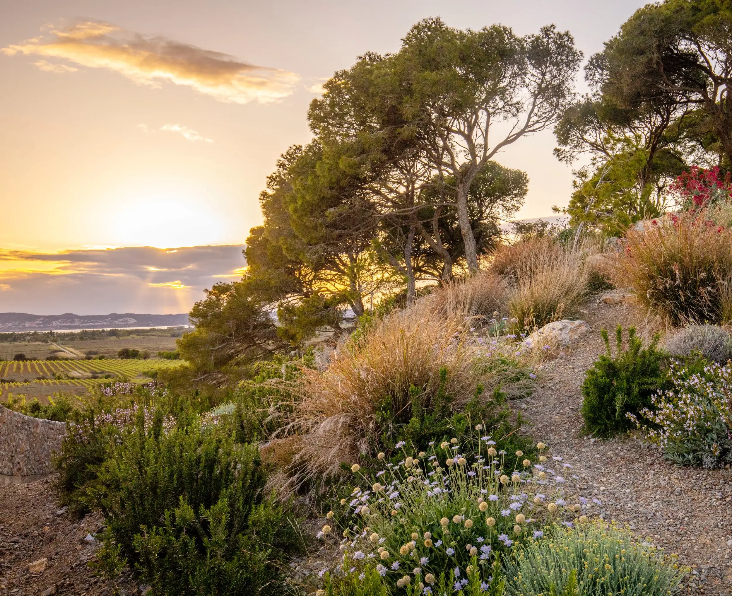 Domaine et Demeure – Les jardins du Château Capitoul